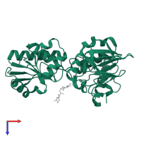 DNA cross-link repair 1A protein in PDB entry 5nzw, assembly 1, top view.