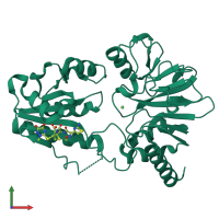 PDB entry 5nzx coloured by chain, front view.