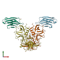 PDB entry 5o05 coloured by chain, front view.