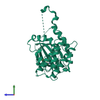 Monomeric assembly 2 of PDB entry 5o2b coloured by chemically distinct molecules, side view.
