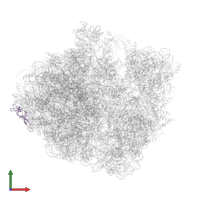 Large ribosomal subunit protein uL24 in PDB entry 5o2r, assembly 1, front view.