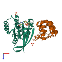 Hetero dimeric assembly 1 of PDB entry 5o2t coloured by chemically distinct molecules, top view.
