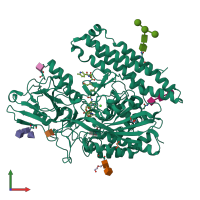 PDB entry 5o5r coloured by chain, front view.