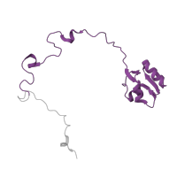 The deposited structure of PDB entry 5o60 contains 1 copy of Pfam domain PF00828 (Ribosomal proteins 50S-L15, 50S-L18e, 60S-L27A) in Large ribosomal subunit protein uL15. Showing 1 copy in chain N [auth M].