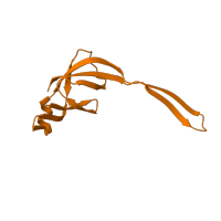 The deposited structure of PDB entry 5o60 contains 1 copy of Pfam domain PF00829 (Ribosomal prokaryotic L21 protein) in Large ribosomal subunit protein bL21. Showing 1 copy in chain T [auth S].