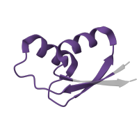 The deposited structure of PDB entry 5o60 contains 1 copy of Pfam domain PF00327 (Ribosomal protein L30p/L7e) in Large ribosomal subunit protein uL30. Showing 1 copy in chain BA [auth a].