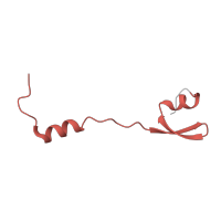 The deposited structure of PDB entry 5o60 contains 1 copy of Pfam domain PF01783 (Ribosomal L32p protein family) in Large ribosomal subunit protein bL32. Showing 1 copy in chain CA [auth b].