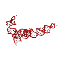 The deposited structure of PDB entry 5o60 contains 1 copy of Rfam domain RF00001 (5S ribosomal RNA) in 5S ribosomal RNA. Showing 1 copy in chain C [auth B].