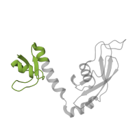 The deposited structure of PDB entry 5o60 contains 1 copy of Pfam domain PF01281 (Ribosomal protein L9, N-terminal domain) in Large ribosomal subunit protein bL9. Showing 1 copy in chain I [auth H].