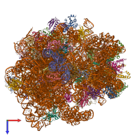 PDB entry 5o61 coloured by chain, top view.