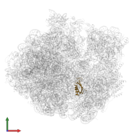 30S ribosomal protein S6 in PDB entry 5o61, assembly 1, front view.