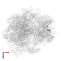 Small ribosomal subunit protein uS14B in PDB entry 5o61, assembly 1, top view.