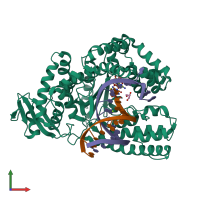 PDB 5o7t coloured by chain and viewed from the front.
