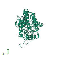 Short-chain dehydrogenase/reductase in PDB entry 5o98, assembly 1, side view.