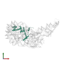 Histone H3.2 in PDB entry 5o9g, assembly 1, front view.