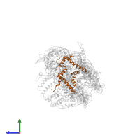 Histone H4 in PDB entry 5o9g, assembly 1, side view.