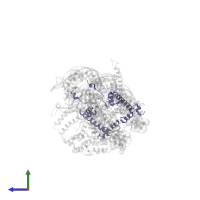 Histone H2A type 1 in PDB entry 5o9g, assembly 1, side view.