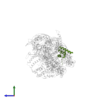 Histone H2B 1.1 in PDB entry 5o9g, assembly 1, side view.