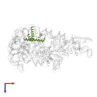 Histone H2B 1.1 in PDB entry 5o9g, assembly 1, top view.