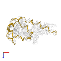 DNA (162-MER) in PDB entry 5o9g, assembly 1, top view.