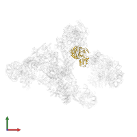 WD40 repeat-containing protein SMU1 in PDB entry 5o9z, assembly 1, front view.