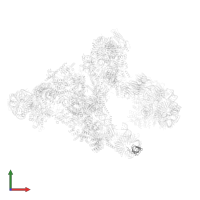 U6 snRNA-associated Sm-like protein LSm2 in PDB entry 5o9z, assembly 1, front view.