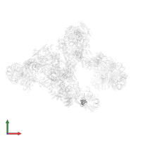 U6 snRNA-associated Sm-like protein LSm5 in PDB entry 5o9z, assembly 1, front view.