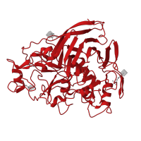The deposited structure of PDB entry 5oa5 contains 2 copies of CATH domain 2.70.100.10 (1,4-Beta-D-Glucan Cellobiohydrolase I; Chain A) in Exoglucanase 1. Showing 1 copy in chain A.