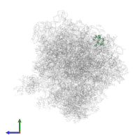 Large ribosomal subunit protein uL23 in PDB entry 5obm, assembly 2, side view.