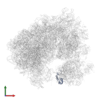 Small ribosomal subunit protein uS13A in PDB entry 5obm, assembly 2, front view.