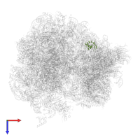 Small ribosomal subunit protein eS25A in PDB entry 5obm, assembly 2, top view.