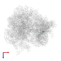 Small ribosomal subunit protein uS14A in PDB entry 5obm, assembly 2, top view.