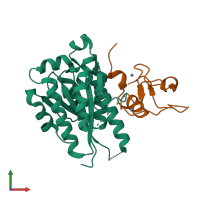 PDB entry 5obz coloured by chain, front view.