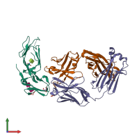 PDB entry 5occ coloured by chain, front view.