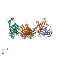 PDB entry 5occ coloured by chain, top view.