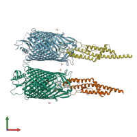 PDB entry 5odw coloured by chain, front view.