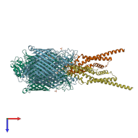 PDB entry 5odw coloured by chain, top view.
