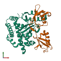 PDB entry 5oe7 coloured by chain, front view.