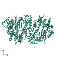 Glutathione synthetase in PDB entry 5oeu, assembly 1, front view.