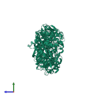 Glutathione synthetase in PDB entry 5oeu, assembly 1, side view.