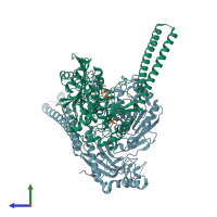 PDB entry 5ofb coloured by chain, side view.