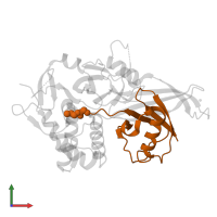 Ubiquitin in PDB entry 5ohn, assembly 1, front view.