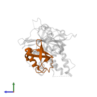 Ubiquitin in PDB entry 5ohn, assembly 1, side view.