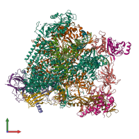 PDB entry 5oik coloured by chain, front view.