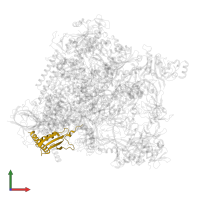 DNA-directed RNA polymerase II subunit RPB11 in PDB entry 5oik, assembly 1, front view.