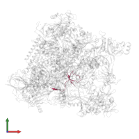 DNA-directed RNA polymerases I, II, and III subunit RPABC4 in PDB entry 5oik, assembly 1, front view.