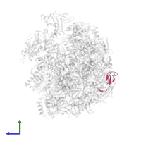 DNA-directed RNA polymerases I, II, and III subunit RPABC4 in PDB entry 5oik, assembly 1, side view.