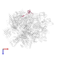 DNA-directed RNA polymerases I, II, and III subunit RPABC4 in PDB entry 5oik, assembly 1, top view.