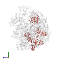 Transcription elongation factor SPT5 in PDB entry 5oik, assembly 1, side view.