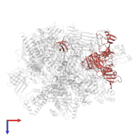 Transcription elongation factor SPT5 in PDB entry 5oik, assembly 1, top view.